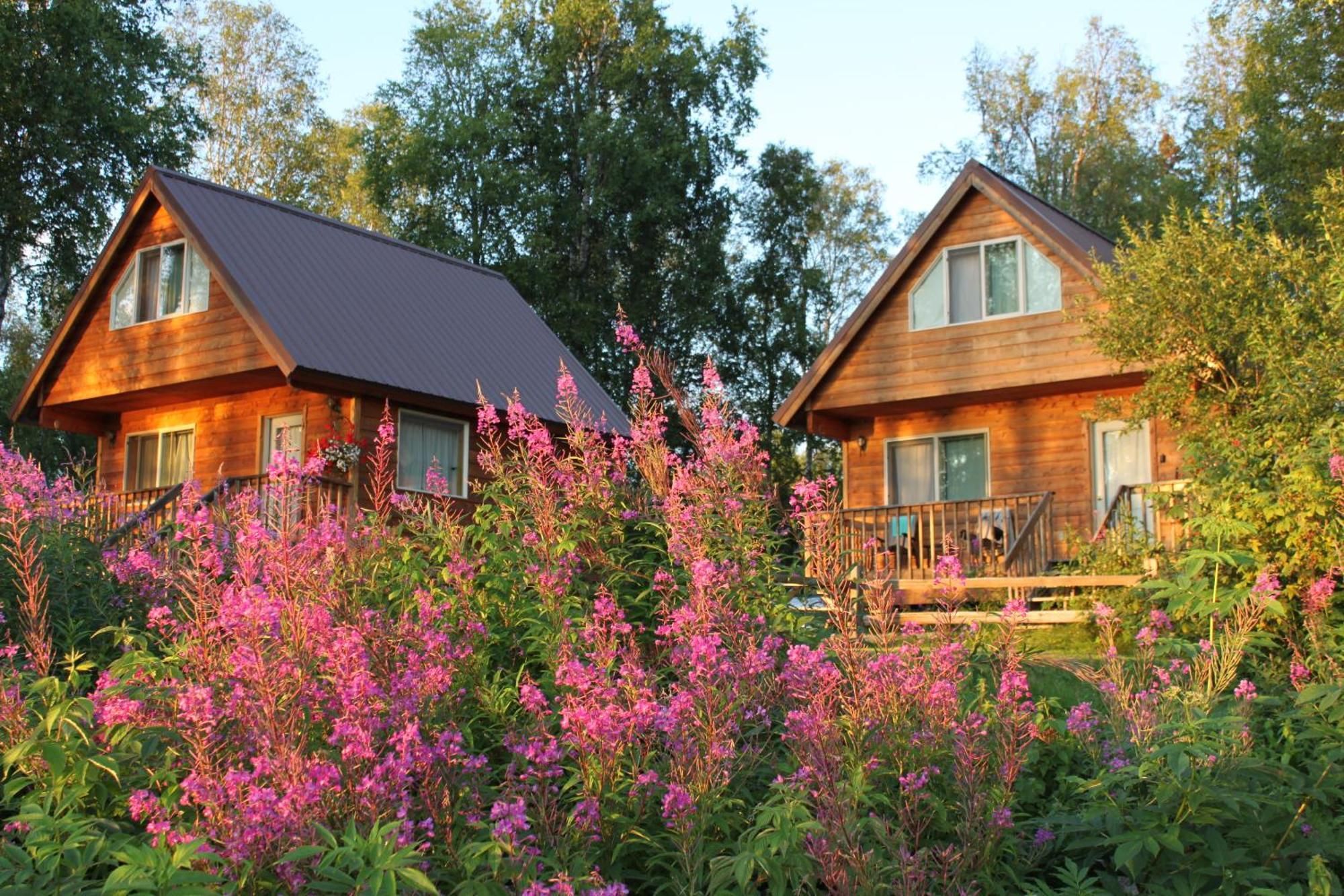 Susitna River Lodging, Riverside Cabins Talkeetna Zewnętrze zdjęcie
