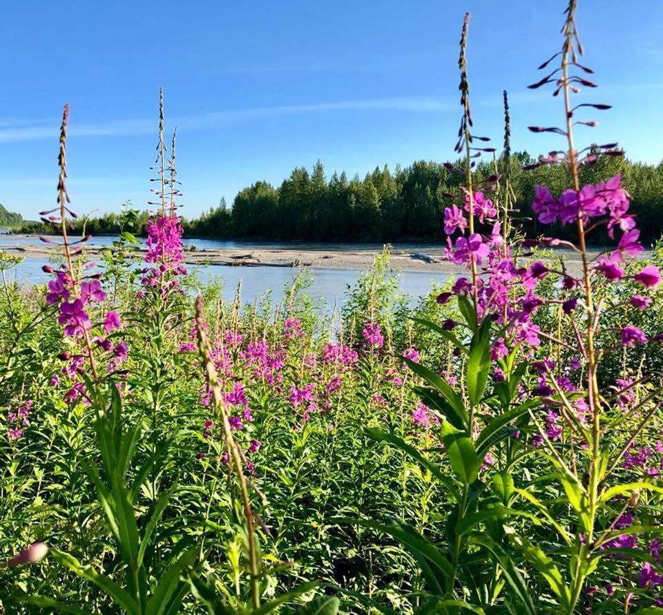 Susitna River Lodging, Riverside Cabins Talkeetna Zewnętrze zdjęcie
