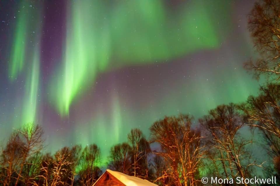 Susitna River Lodging, Riverside Cabins Talkeetna Zewnętrze zdjęcie